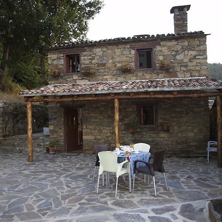 Casa Princesa Peralta Lousã Kültér fotó